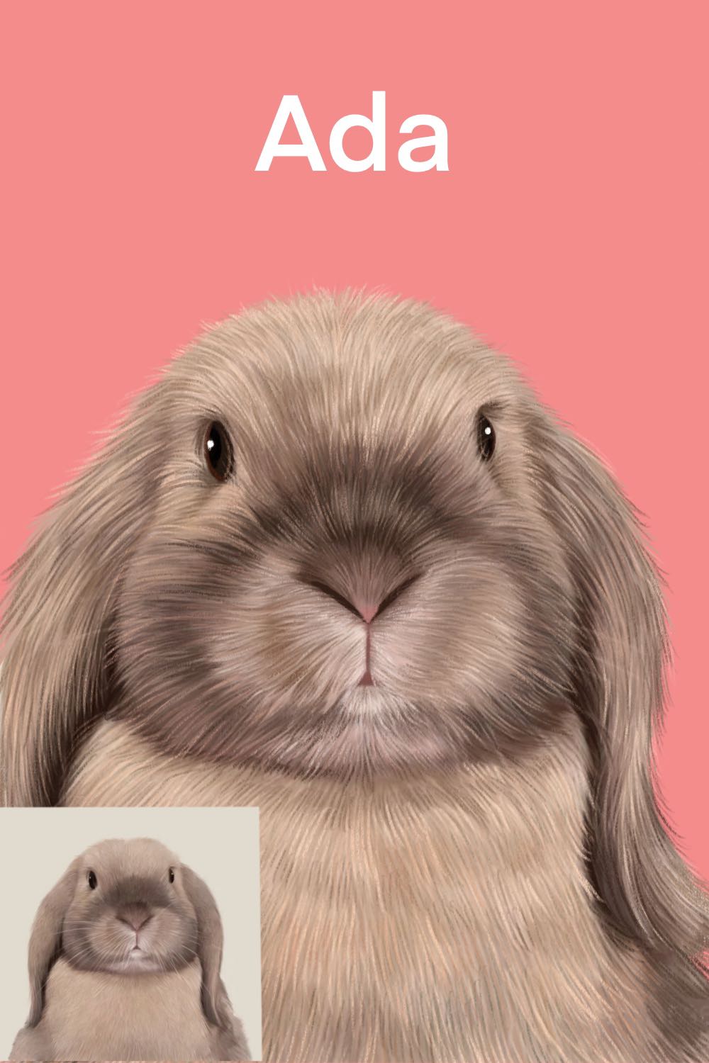 Rabbit in colored pencil painting style with pink background