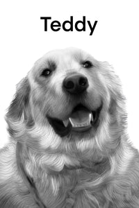 Golden retriever in pencil sketch style with white background