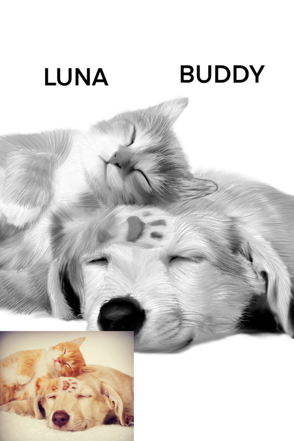 Dog and cat in pencil sketch style with white background